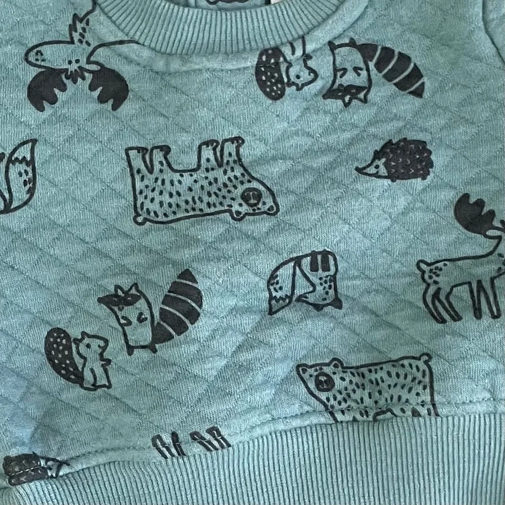 Koala Kids Baby 3M‎ Quilted Matching Set Forest Animals Sage Green Pants Sweater